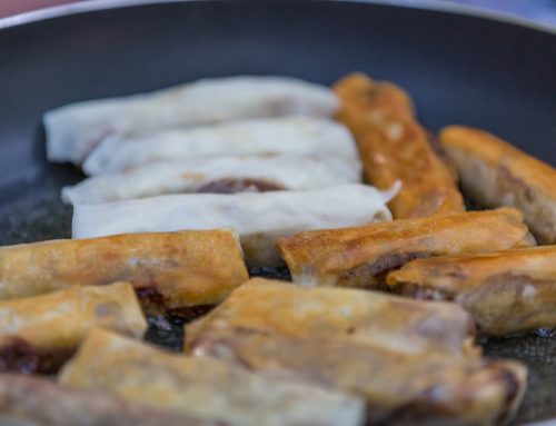 Wild-Frühlingsrolle